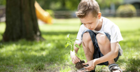 education WordPress theme – tree planting event education WordPress theme – tree planting event